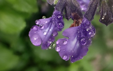 PC313351a.jpg